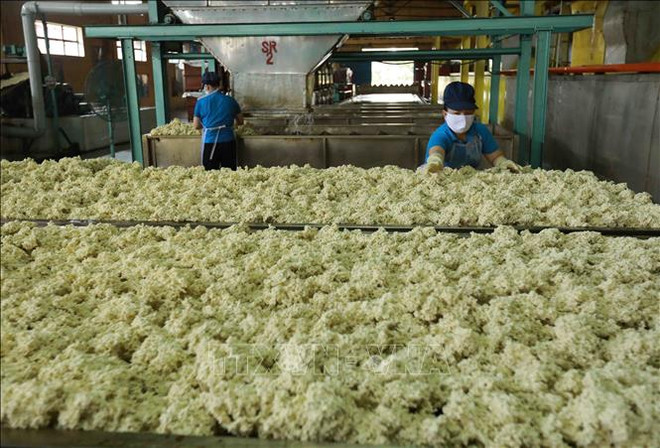 Rubber industry needs better grip on competitiveness in int’l market ảnh 1