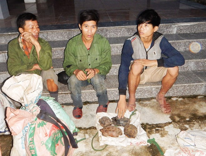 US willing to help Vietnam combat wildlife trafficking ảnh 1 US willing to help Vietnam combat wildlife trafficking ảnh 1