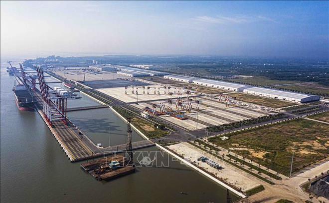 Digital transformation crucial for logistics growth: Insiders ảnh 1