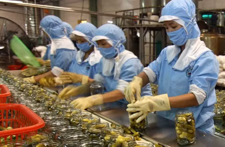 Vietnam’s GDP likely to gain most from TPP, AEC ảnh 1