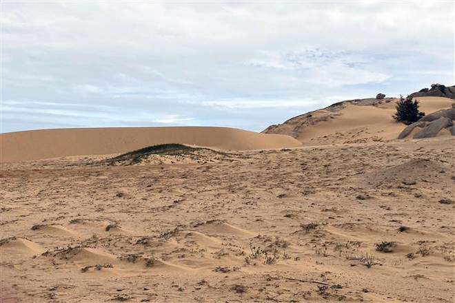 1 billion USD tourism project kicked off in Ninh Thuan ảnh 2