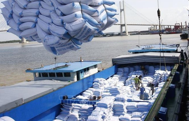 Over 55,000 tonnes of Vietnamese rice exported to RoK to enjoy 5 percent tax rate ảnh 1