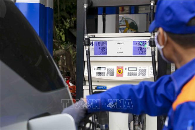 PM orders balance of petrol demand, supply for domestic market ảnh 1