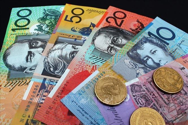 Australian investment supports Vietnamese startups ảnh 1