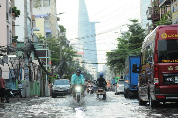Mekong Delta most vulnerable to flooding because of sea level rise ảnh 1
