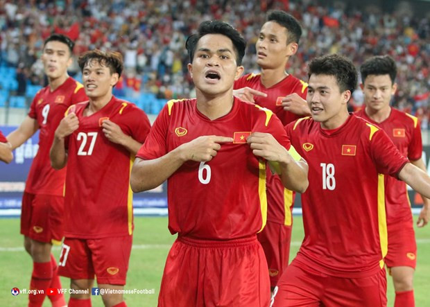 Vietnam win AFF U23 Youth Championship ảnh 1