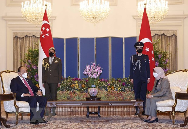 President’s Singapore visit helps realise foreign relations policy: official ảnh 1