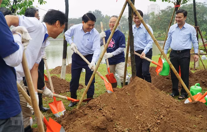 Additional 1,000 cherry blossom trees planted in Hanoi park ảnh 1