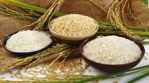 FAO supports Indonesia in organic rice production ảnh 1