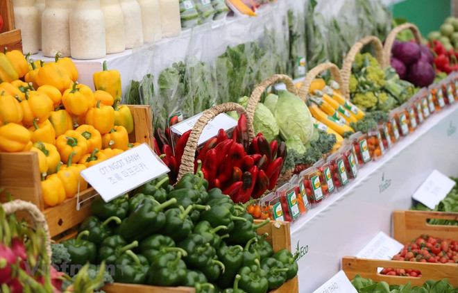 February’s consumer price index up 0.8 percent ảnh 1 February’s consumer price index up 0.8 percent ảnh 1