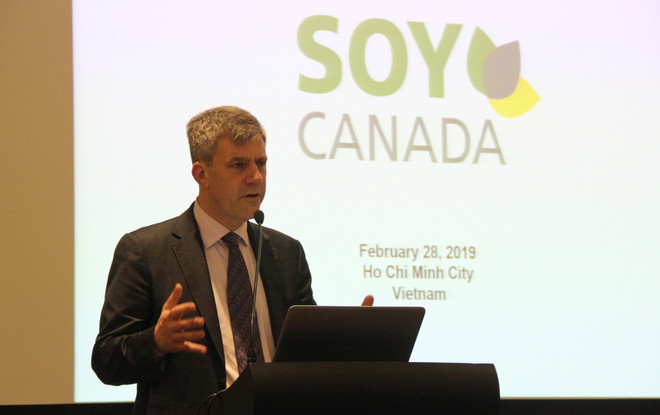 Opportunities for businesses importing soybeans from Canada ảnh 1 Opportunities for businesses importing soybeans from Canada ảnh 1