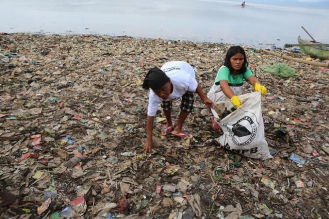 Indonesia: hundreds gather to clean up beach ảnh 1