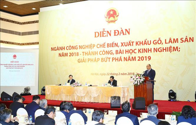 Wood, forestry exports must surpass 11 billion USD in 2019: PM ảnh 1