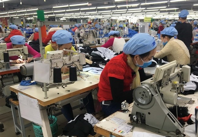 Garment, fishery firms plan production growth this year ảnh 1 Garment, fishery firms plan production growth this year ảnh 1