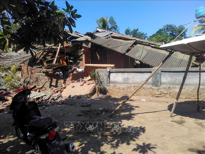 Strong quake shakes eastern Indonesia ảnh 1