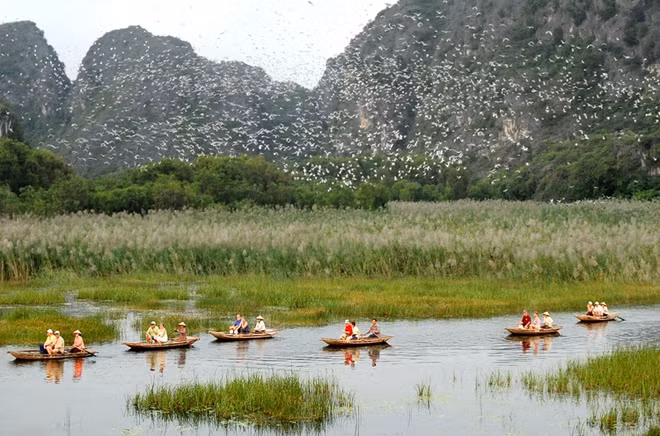 Van Long Wetland Nature Reserve becomes Vietnam’s ninth Ramsar site ảnh 1