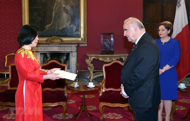 Vietnam wants to promote relations with Malta: Ambassador ảnh 1