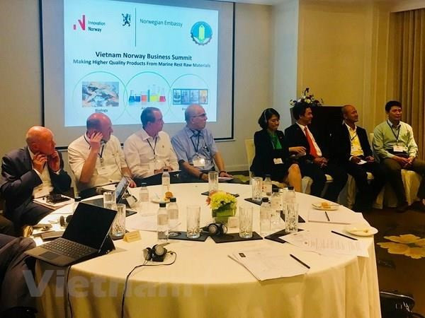 PM’s Norway visit boosts multi-dimensional cooperation ảnh 1