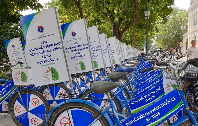 Meeting responds to World No Tobacco Day ảnh 1