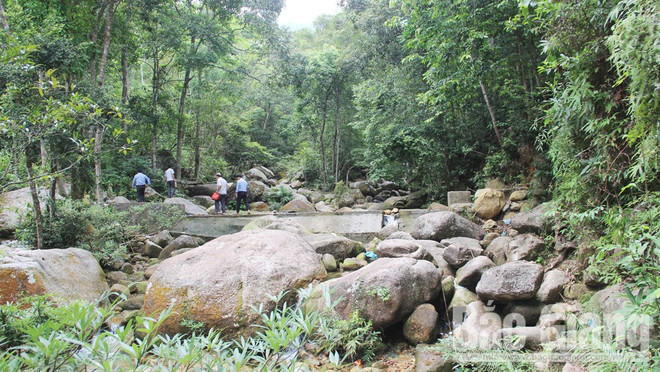 Bac Giang strives to preserve biodiversity in Tay Yen Tu ảnh 1