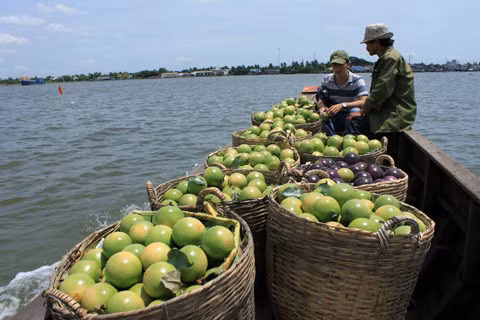 Vietnam’s exports to Thailand shoot up ảnh 1