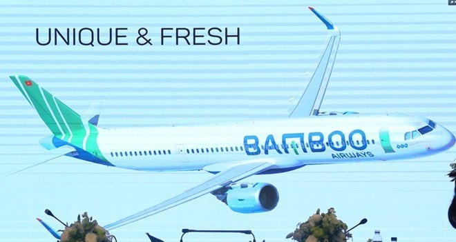 Aviation business licence granted to Bamboo Airways ảnh 1