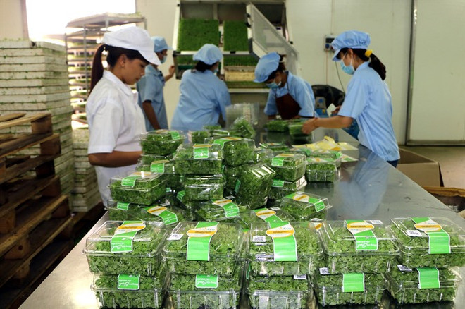 Agriculture sector targets 3 pct annual growth by 2020 ảnh 1 Agriculture sector targets 3 pct annual growth by 2020 ảnh 1