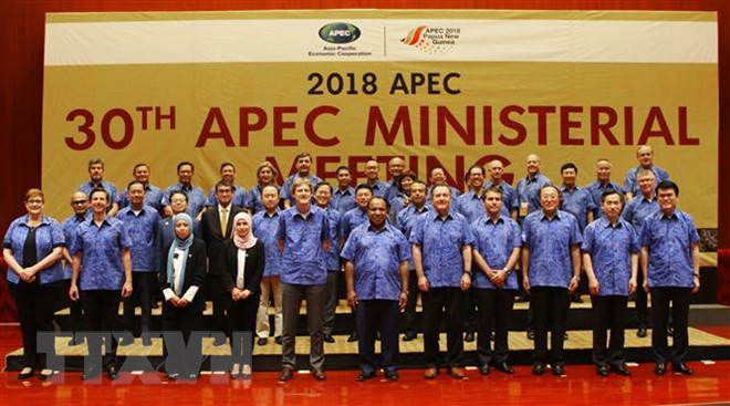 Deputy PM: APEC remains focus of Vietnam’s foreign policy ảnh 1