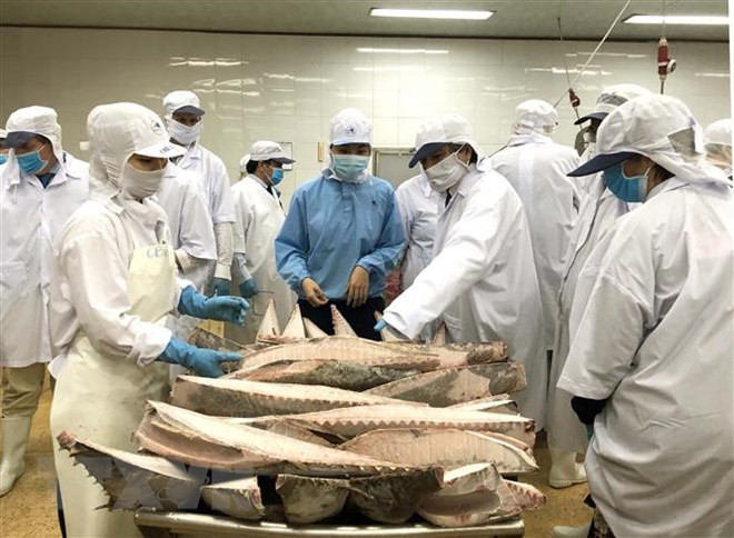 VASEP talks about EP fisheries committee’s IUU fact-finding tour ảnh 1 VASEP talks about EP fisheries committee’s IUU fact-finding tour ảnh 1