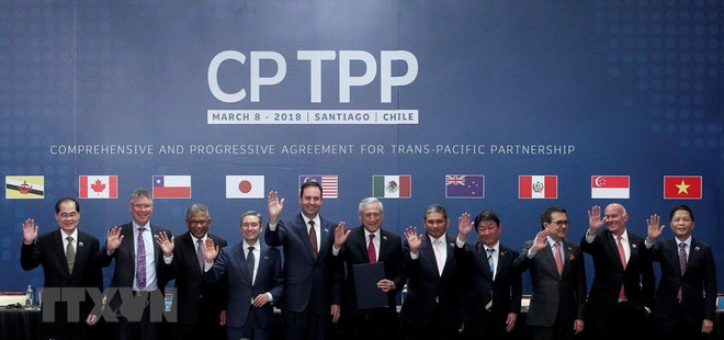 Action programme needed to fully tap CPTPP: experts ảnh 1 Action programme needed to fully tap CPTPP: experts ảnh 1