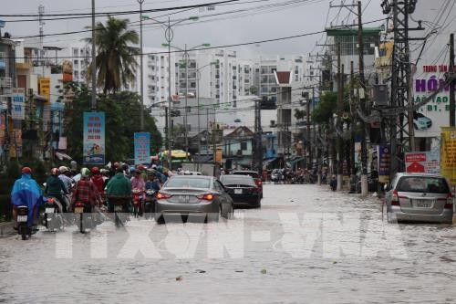 Khanh Hoa: Torrential rains leave 12 dead, five missing ảnh 1 Khanh Hoa: Torrential rains leave 12 dead, five missing ảnh 1