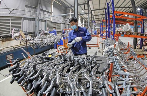 Rising input costs hit Vietnamese enterprises ảnh 1