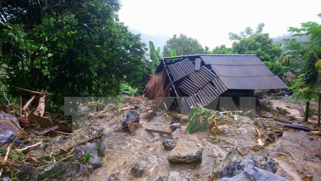 Japan donates relief aid to Vietnamese flood-hit localities ảnh 1