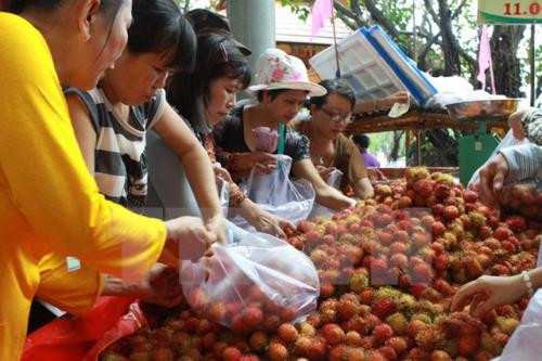 Enterprises advised to focus on organic fruit, vegetable exports to EU ảnh 1 Enterprises advised to focus on organic fruit, vegetable exports to EU ảnh 1