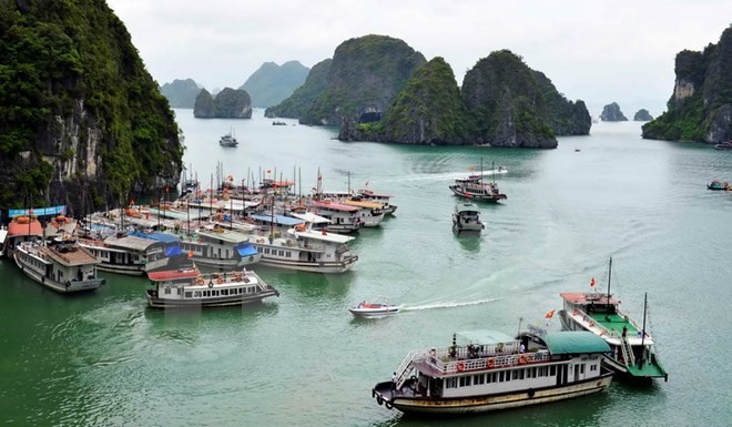 Organising board for National Tourism Year established ảnh 1