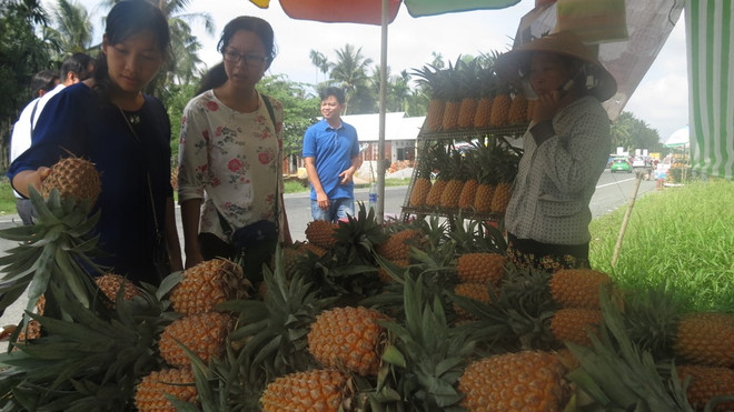 Hau Giang province urged to make greater development efforts ảnh 1