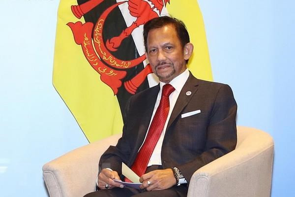 Brunei Sultan’s Vietnam visit to enhance all-round cooperation ảnh 1 Brunei Sultan’s Vietnam visit to enhance all-round cooperation ảnh 1