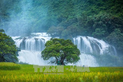 Ban Gioc Waterfall Tourism Festival 2023 opens ảnh 1