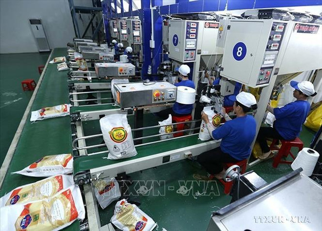 Vietnam rice exports surge to new record revenue ảnh 2 Vietnam rice exports surge to new record revenue ảnh 2
