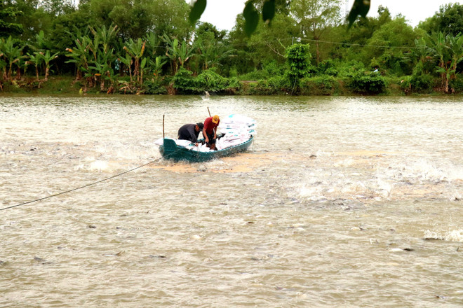 Workshop stresses PPP’s role in cutting emissions from tra fish chain ảnh 1