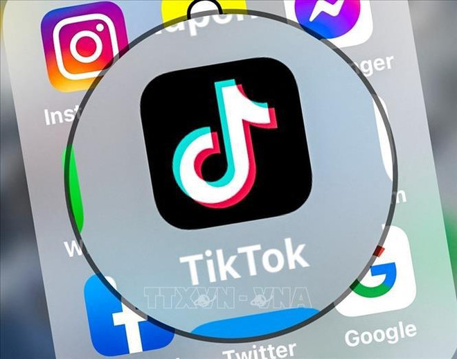 TikTok Singapore’s operation in Vietnam violates local laws: Ministry ảnh 1 TikTok Singapore’s operation in Vietnam violates local laws: Ministry ảnh 1