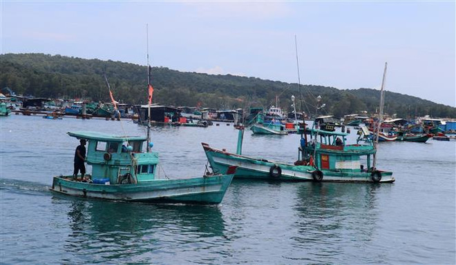 IUU combat: Changes seen in fishermen’s awareness of sustainable fisheries ảnh 1