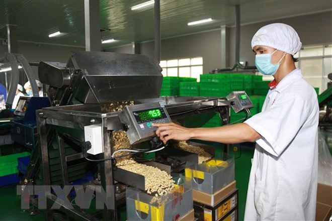CPTPP brings opportunities, challenges to Vietnam’s agriculture ảnh 1