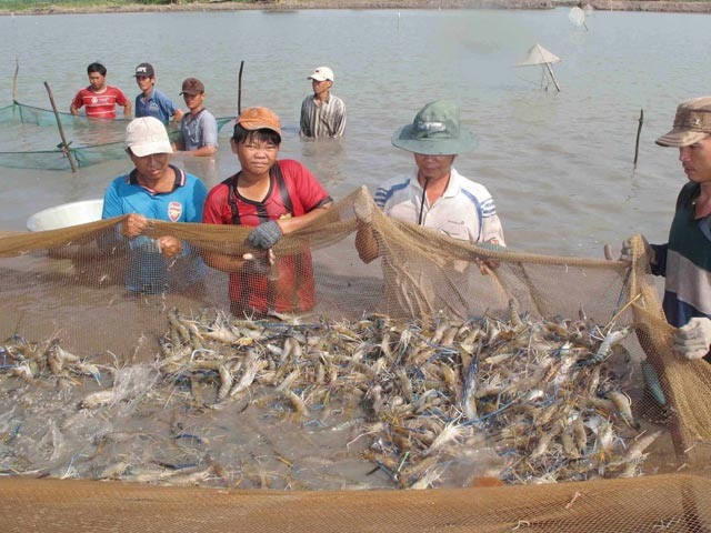 Mekong Delta aims for high-quality agriculture in 2019 ảnh 1 Mekong Delta aims for high-quality agriculture in 2019 ảnh 1
