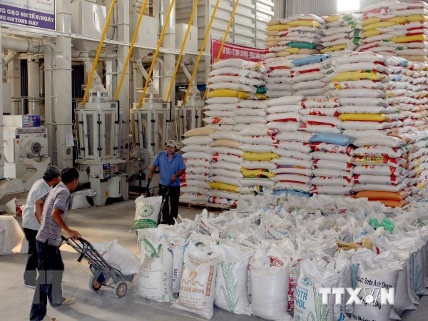 Vietnam-Africa trade reaches 6.6 billion USD in 2018 ảnh 1