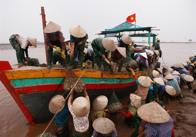 Gender equality under discussion at parliament's session ảnh 1