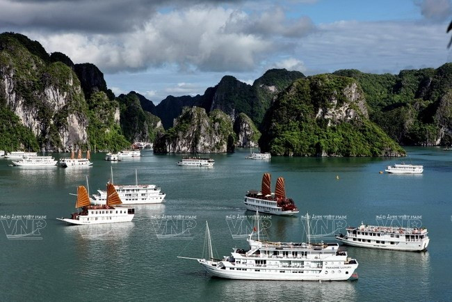 Quang Ninh approves Ha Long – Co To seaplane route ảnh 1 Quang Ninh approves Ha Long – Co To seaplane route ảnh 1