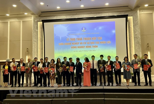 Agricultural sector struggles with severe shortage of high-quality human resources ảnh 2