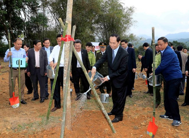 President launches New Year tree planting festival ảnh 1