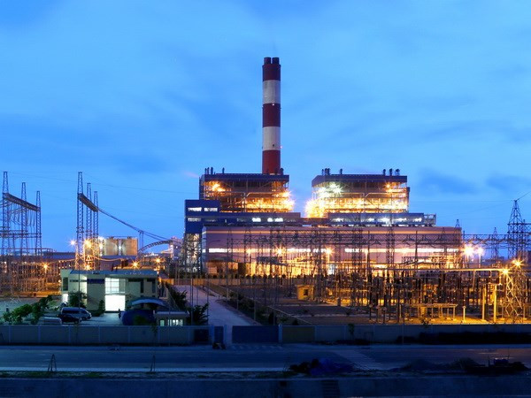 Environment at Vinh Tan power complex under scrutiny ảnh 1